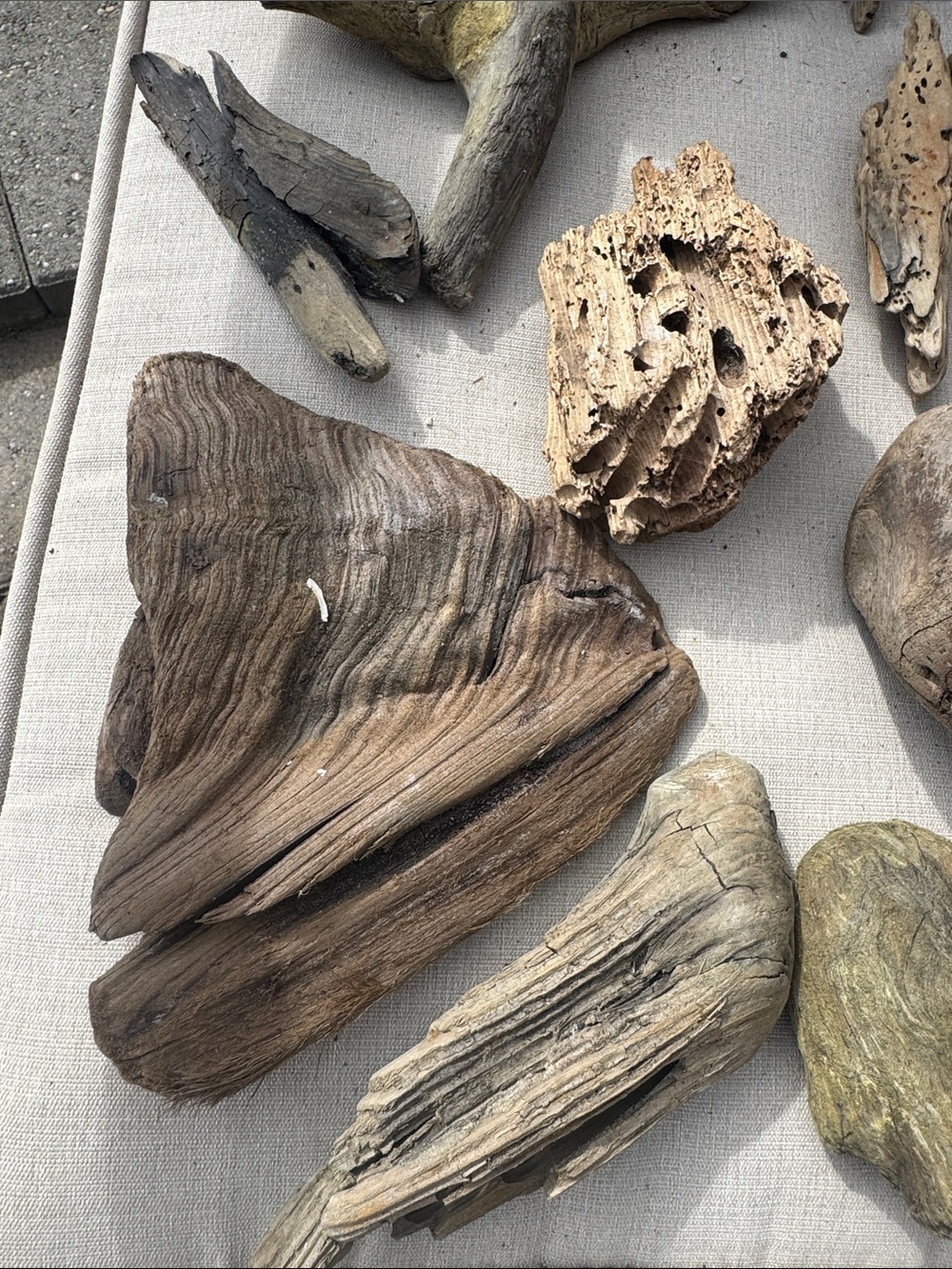 For LYNDA 19 pc (5 lb shipped) Natural Driftwood for Craft, Projects, Upcycle - Picture 11 of 16